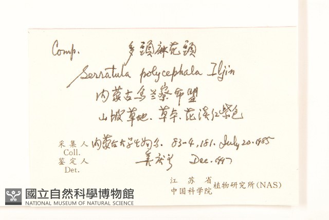 多頭麻花頭藏品圖，第2張