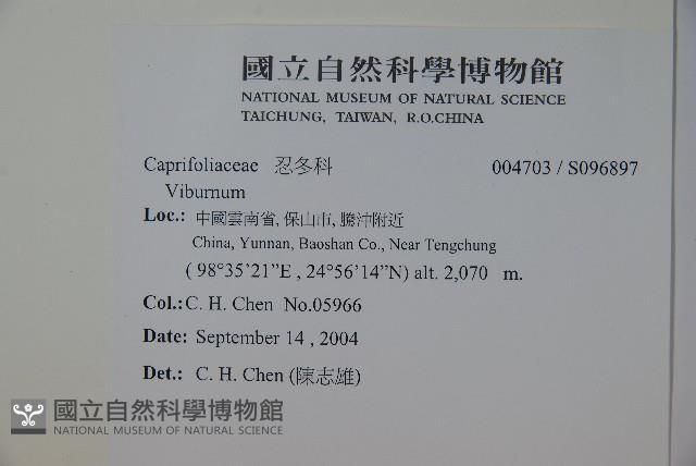 登錄號:S096897藏品圖，第2張