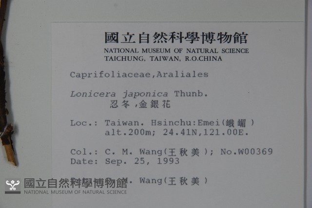 忍冬、金銀花藏品圖，第2張