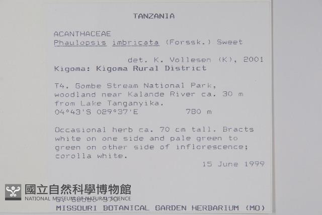 登錄號:S095997藏品圖，第2張