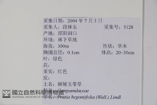 Accession Number:S103997 Collection Image, Figure 2, Total 2 Figures