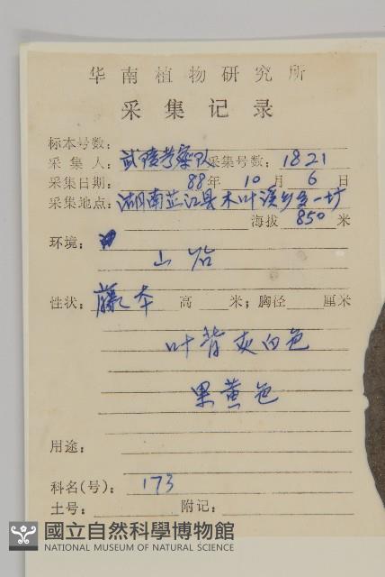 粉背南蛇藤藏品圖，第2張