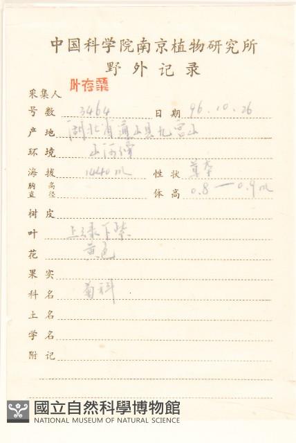 黃菀藏品圖，第2張