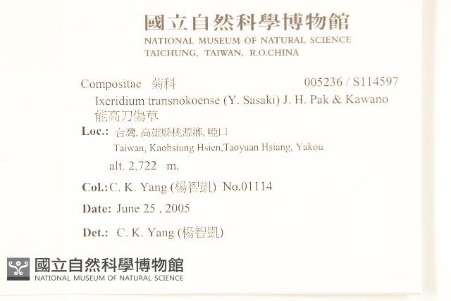 能高刀傷草藏品圖，第2張