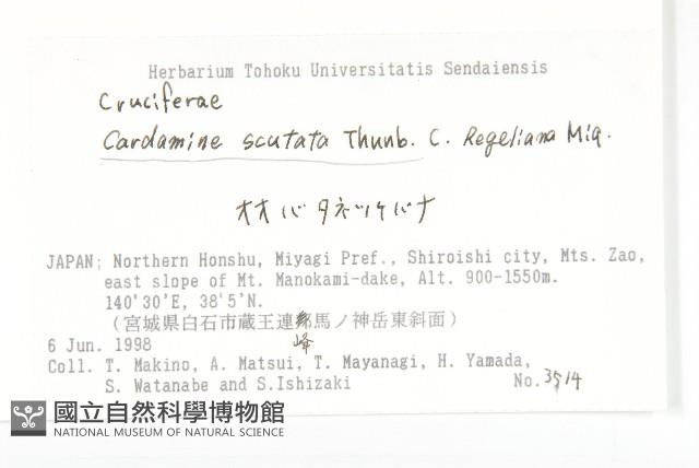 登錄號:S074597藏品圖，第2張