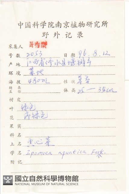 甕菜、空心菜藏品圖，第2張