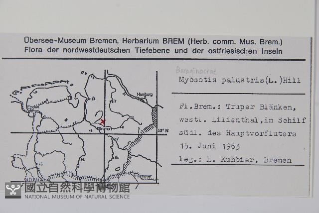 登錄號:S077597藏品圖，第2張