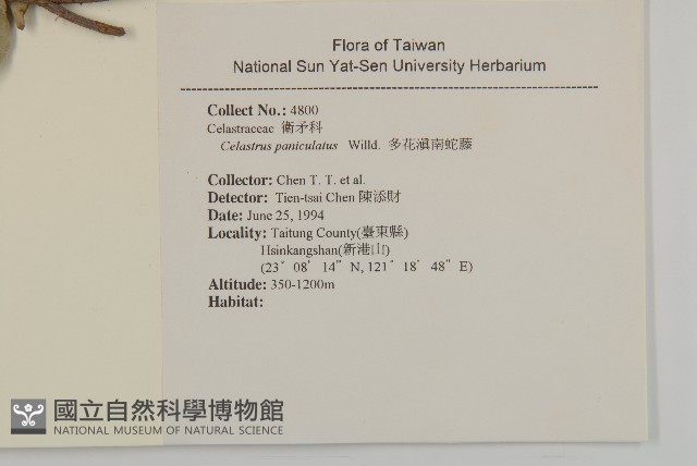 多花滇南蛇藤藏品圖，第2張