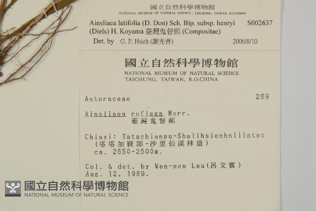 臺灣鬼督郵藏品圖，第2張