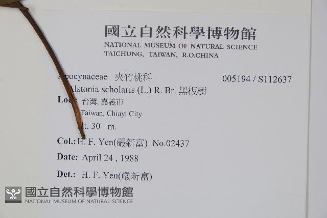 黑板樹藏品圖，第2張