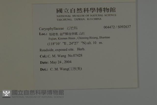 登錄號:S092637藏品圖，第2張