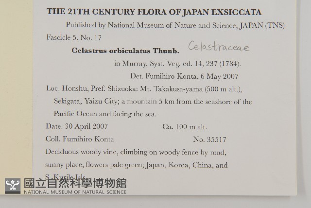 南蛇藤藏品圖，第2張