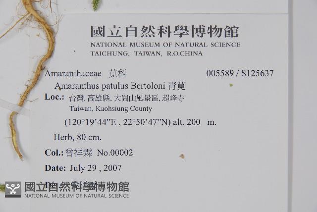 青莧藏品圖，第2張