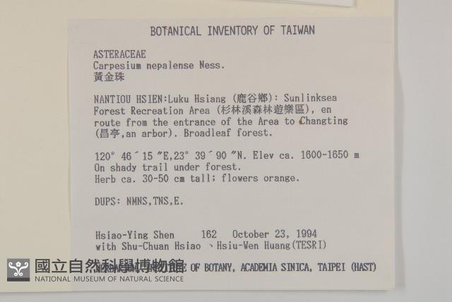 黃金珠藏品圖，第2張