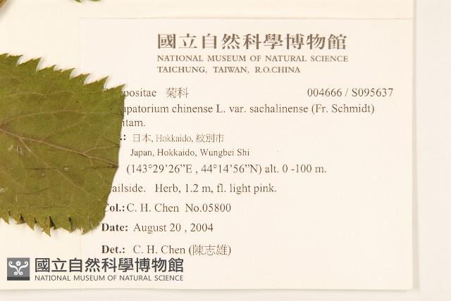 登錄號:S095637藏品圖，第2張