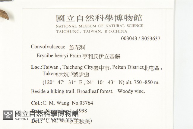 亨利氏伊立基藤藏品圖，第2張