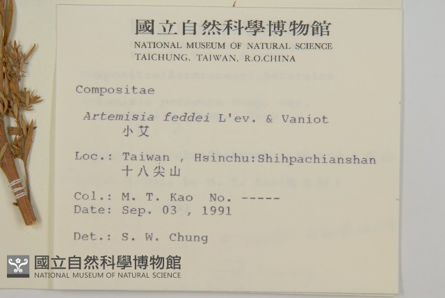 小艾、矮蒿藏品圖，第2張