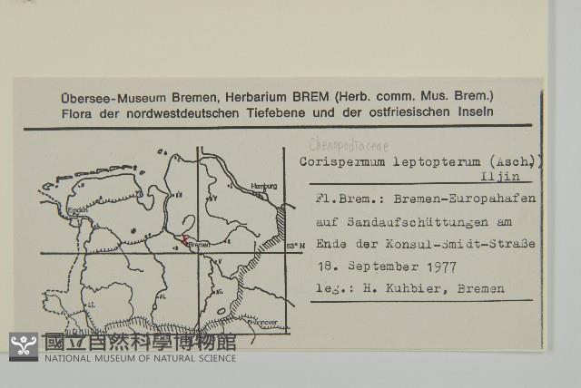 Accession Number:S077637 Collection Image, Figure 2, Total 2 Figures