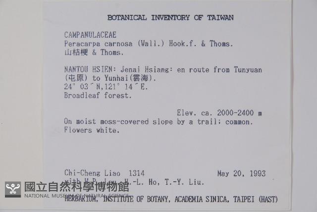 山桔梗藏品圖，第2張