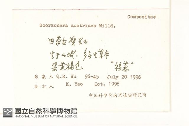 鴨蔥藏品圖，第2張