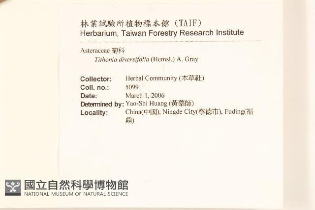 王爺葵、五瓜金英藏品圖，第2張