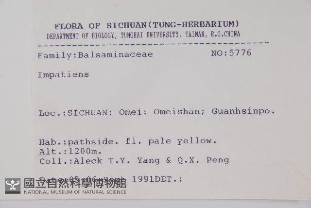 登錄號:S025737藏品圖，第2張