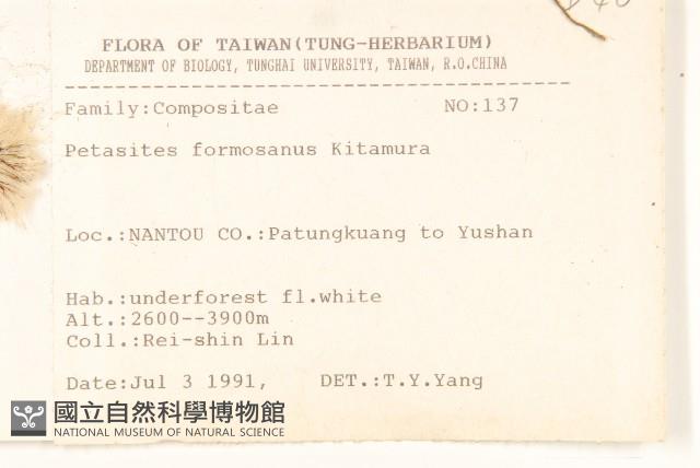 臺灣款冬藏品圖，第2張