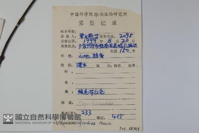 南方莢迷藏品圖，第2張