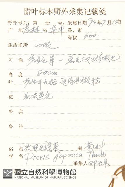 興安毛蓮菜藏品圖，第2張