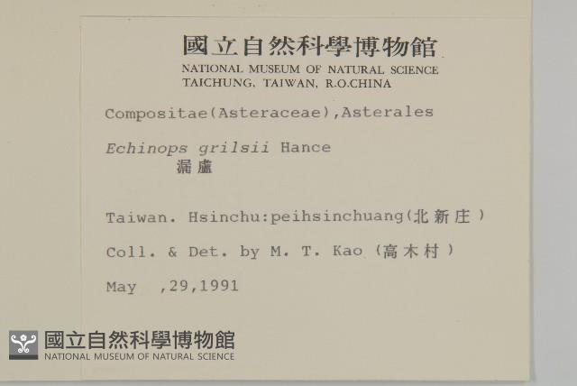 漏盧、山防風藏品圖，第2張