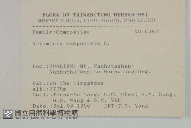 山艾藏品圖，第2張