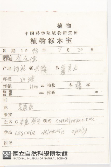 中國菟絲子藏品圖，第2張