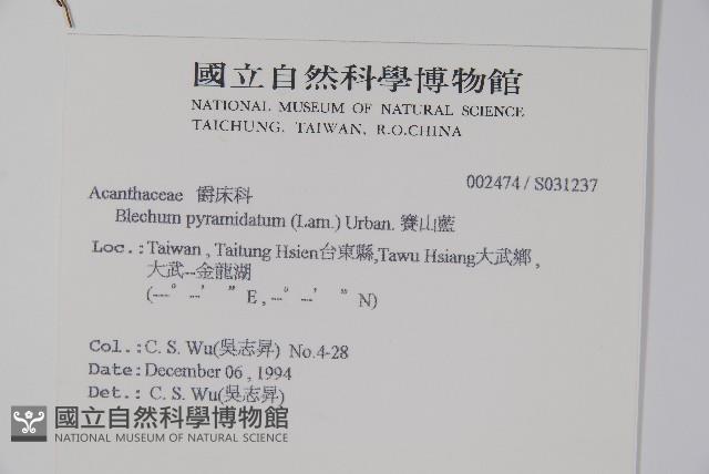 賽山藍藏品圖，第2張