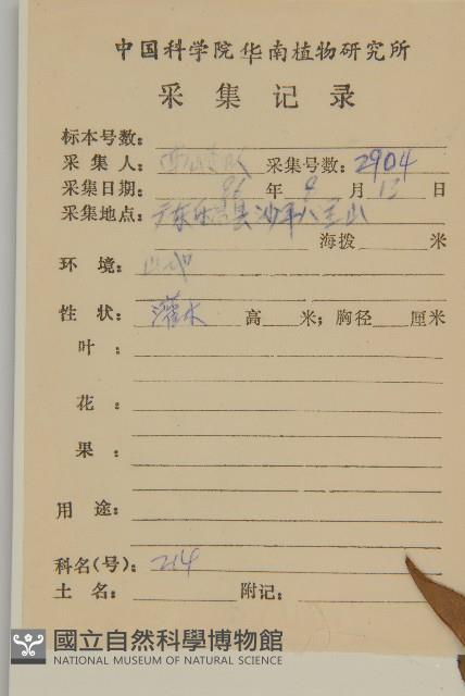 江南山柳藏品圖，第2張