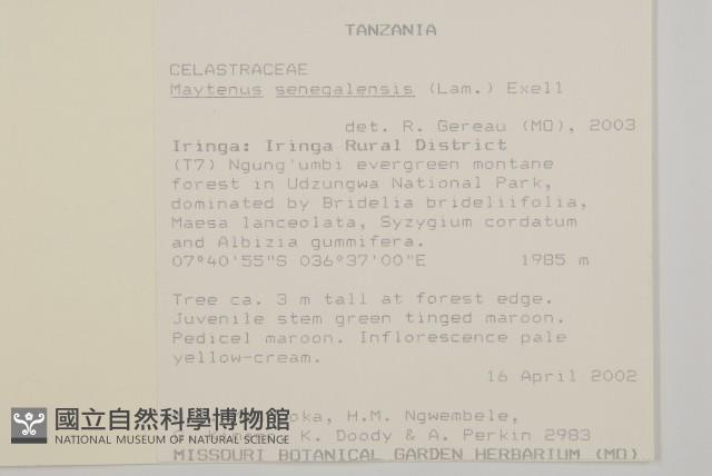 裸實藏品圖，第2張