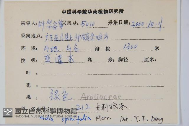 長刺蔥木藏品圖，第2張