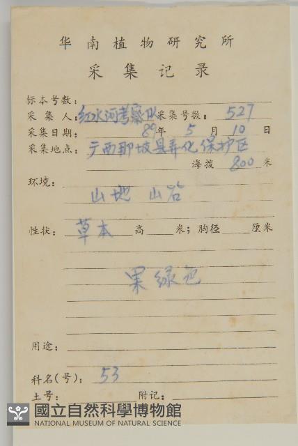 牛繁縷藏品圖，第2張