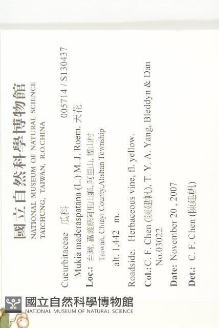 天花藏品圖，第2張