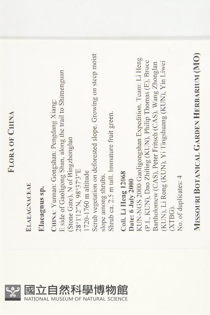 登錄號:S097437藏品圖，第2張