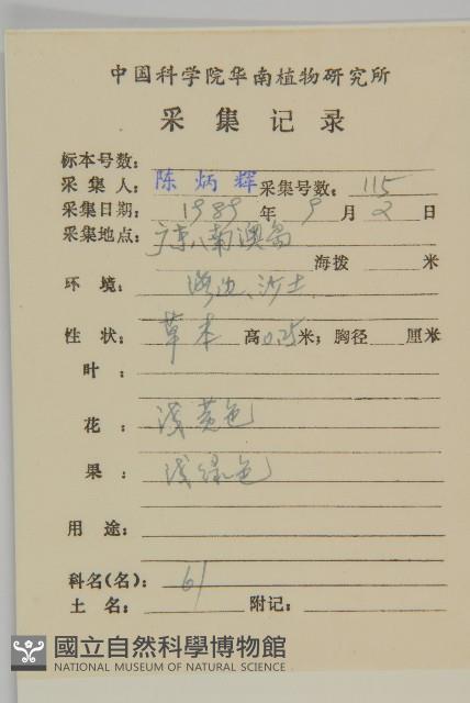 匍匐濱藜藏品圖，第2張