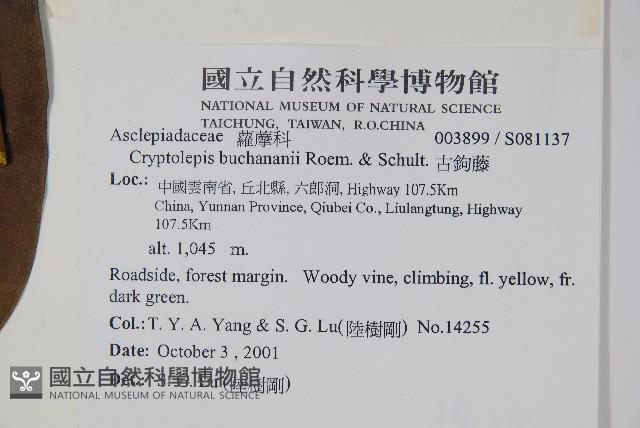 古鉤藤藏品圖，第2張