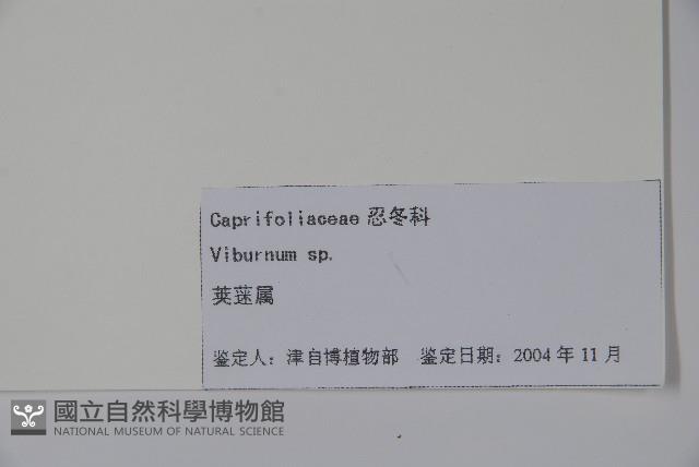 登錄號:S105137藏品圖，第2張