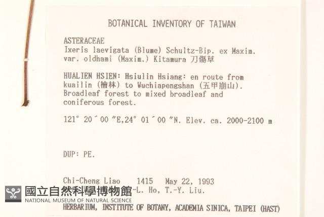 Sward Wound weed Collection Image, Figure 2, Total 2 Figures