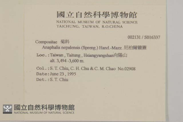 尼泊爾籟簫藏品圖，第2張