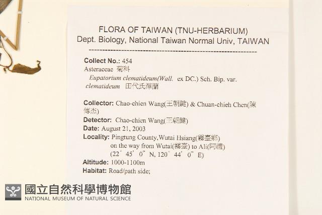 田代氏澤蘭藏品圖，第2張