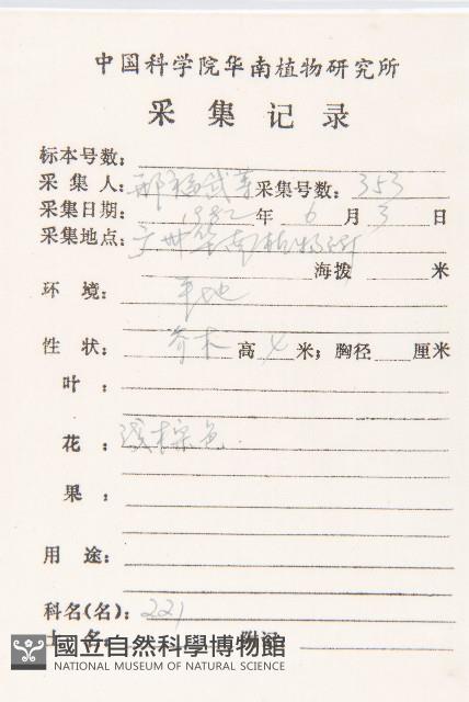 軟毛柿藏品圖，第2張