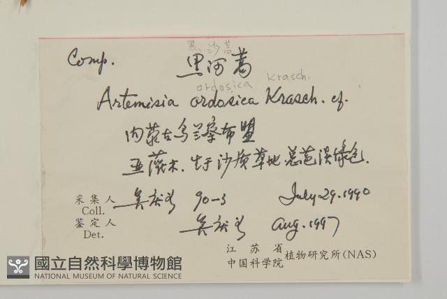 西伯利亞三毛草藏品圖，第2張