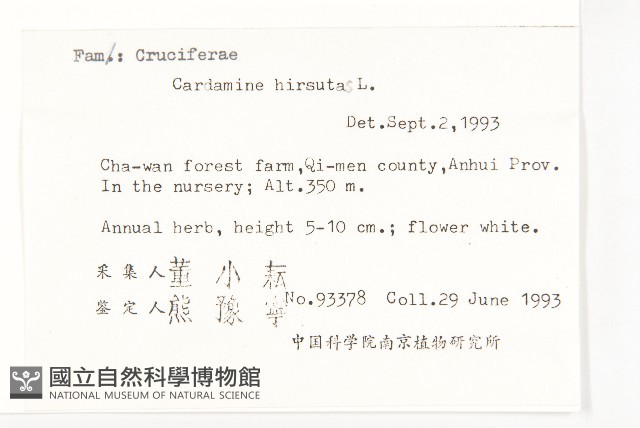碎米薺藏品圖，第2張