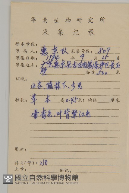 變葉懸鉤子藏品圖，第2張