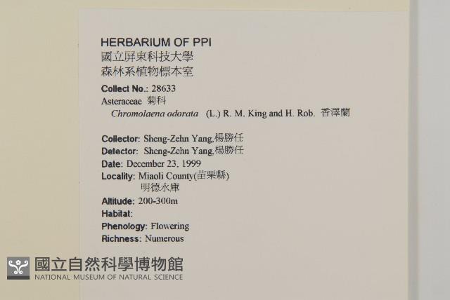 Accession Number:S065337 Collection Image, Figure 2, Total 2 Figures